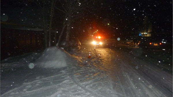 ДПТ в Донском, ул. Кооперативная, январь 2014. Фото 2.